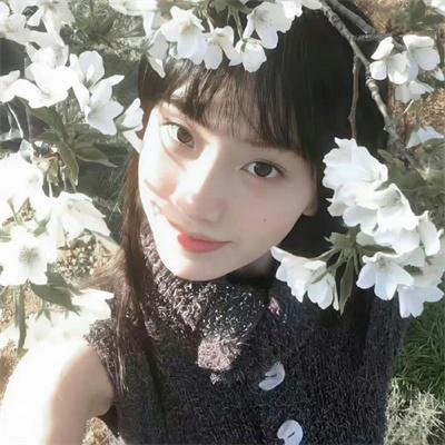 玫瑰的故事