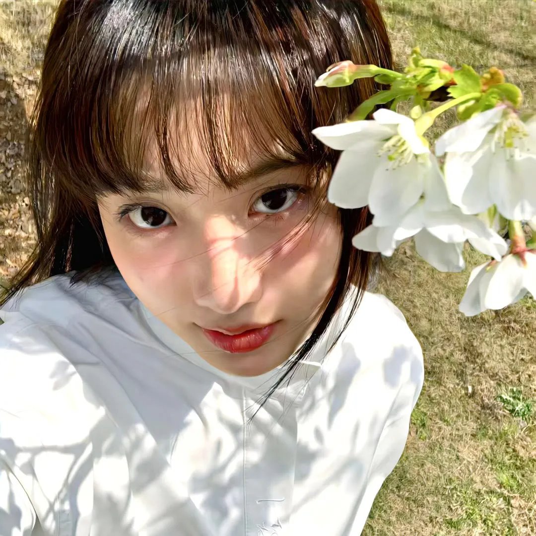 莲花楼